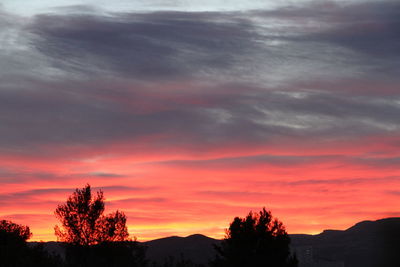 Silhouette trees against dramatic sky during sunset