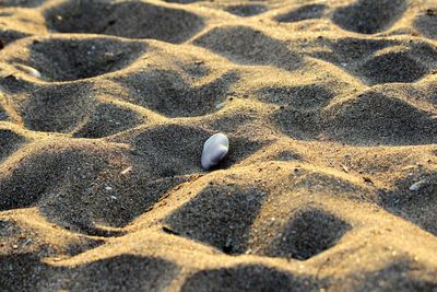 Close-up of pebble on sand