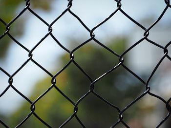 Close-up of chainlink fence