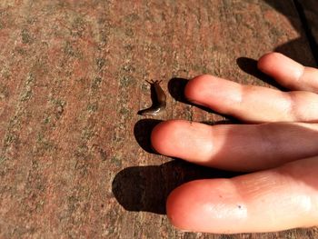 Cropped hand by slug on table during sunny day