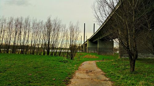 Footpath leading towards building