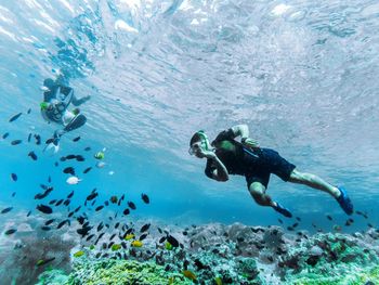 Scuba diving in sea