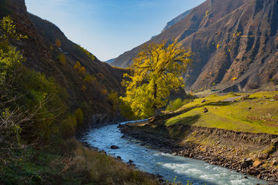 Mountain river in the gorge in autumn