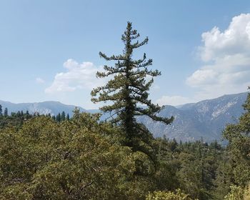 Scenic view of mountains against cloudy sky