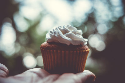Close-up of hand holding cupcake