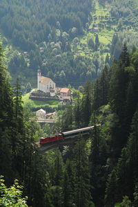 High angle view of trees and buildings in forest