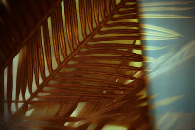 Close-up of illuminated walkway