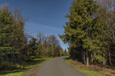 Empty road along trees and plants