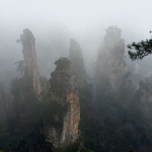 Trees on mountain against sky during foggy weather