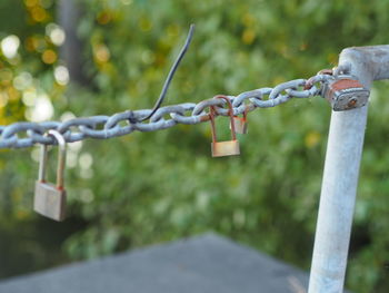 Close-up of chain hanging on railing
