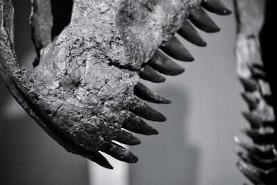 Close-up of human hand