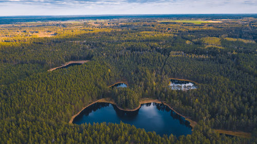 Aerial view of a lake