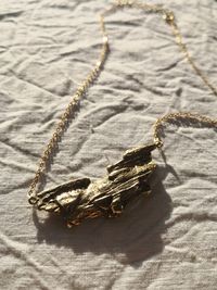 High angle view of dried shell on sand