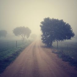 Road passing through field