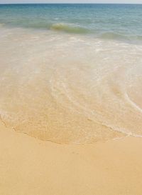 Scenic view of beach