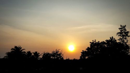 Silhouette trees against sky during sunset