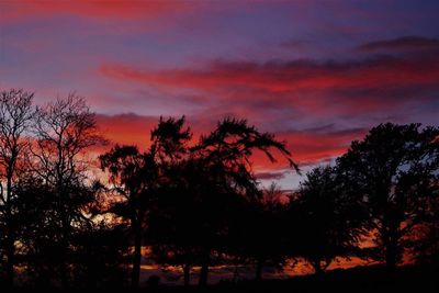 Silhouette trees against dramatic sky during sunset