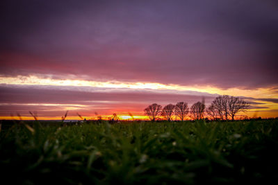 Scenic view of field against sky during sunset