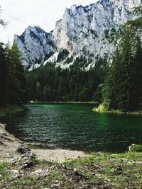 Scenic view of lake in forest