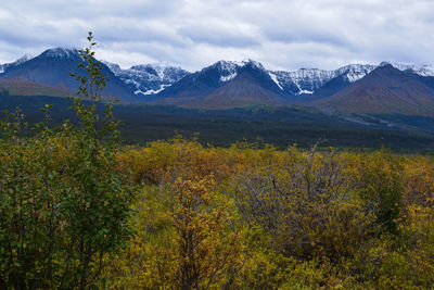 Scenic view of snowcapped mountains with autumn colours against cloudy sky