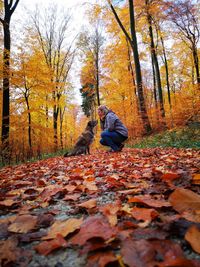 Surface level of woman with dog on autumn leaves in forest