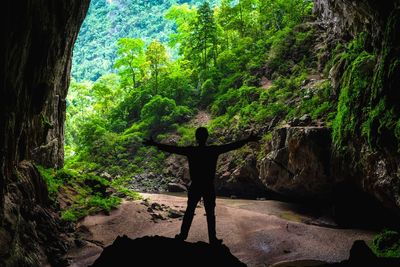 Rear view of person standing by tree in forest