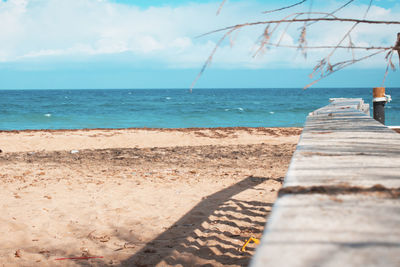 Sea-landscape-sky-beach-wood