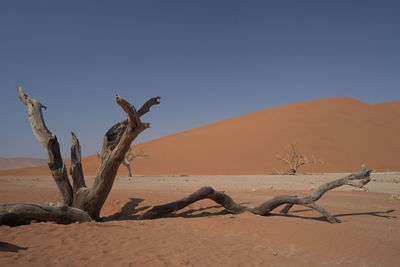 Scenic view of desert against clear sky