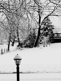 Snow covered street amidst trees during winter