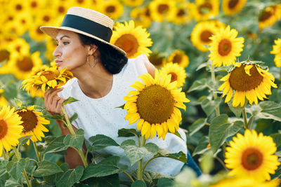 Close-up of yellow flowering plants