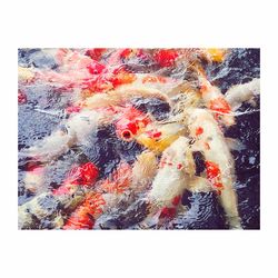 Close-up of fish underwater
