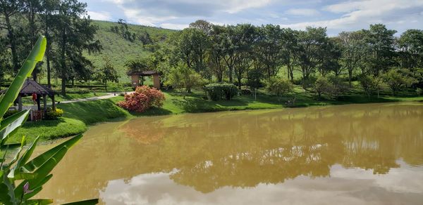 Scenic view of lake by trees against sky