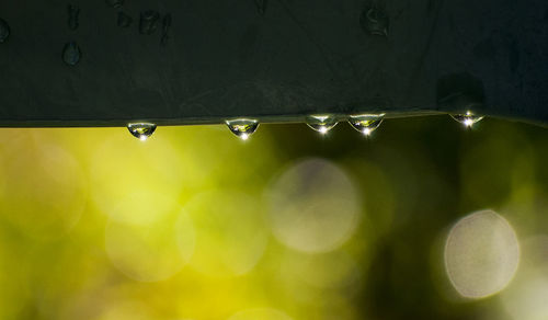 Close-up of water drops on illuminated lights