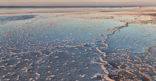 Surface level of wet sand on beach against sky