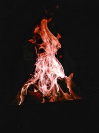 Close-up of bonfire at night