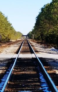 Railroad track amidst trees against clear sky