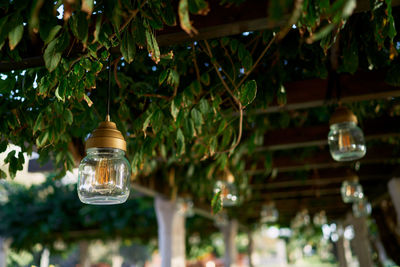 Close-up of illuminated light bulb