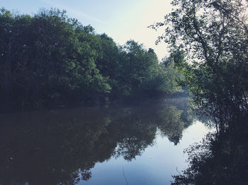 Scenic view of lake in forest against sky