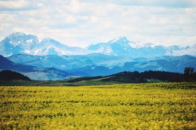 Scenic view of agricultural field and mountains against sky