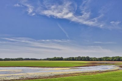 Scenic view of landscape against blue sky