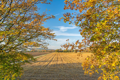 Scenic view of field against sky during autumn