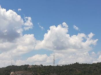 Trees against sky
