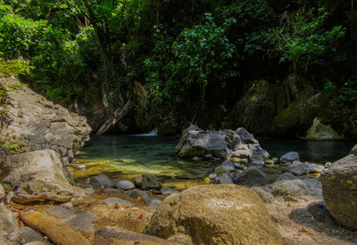 Stream flowing through rocks in forest