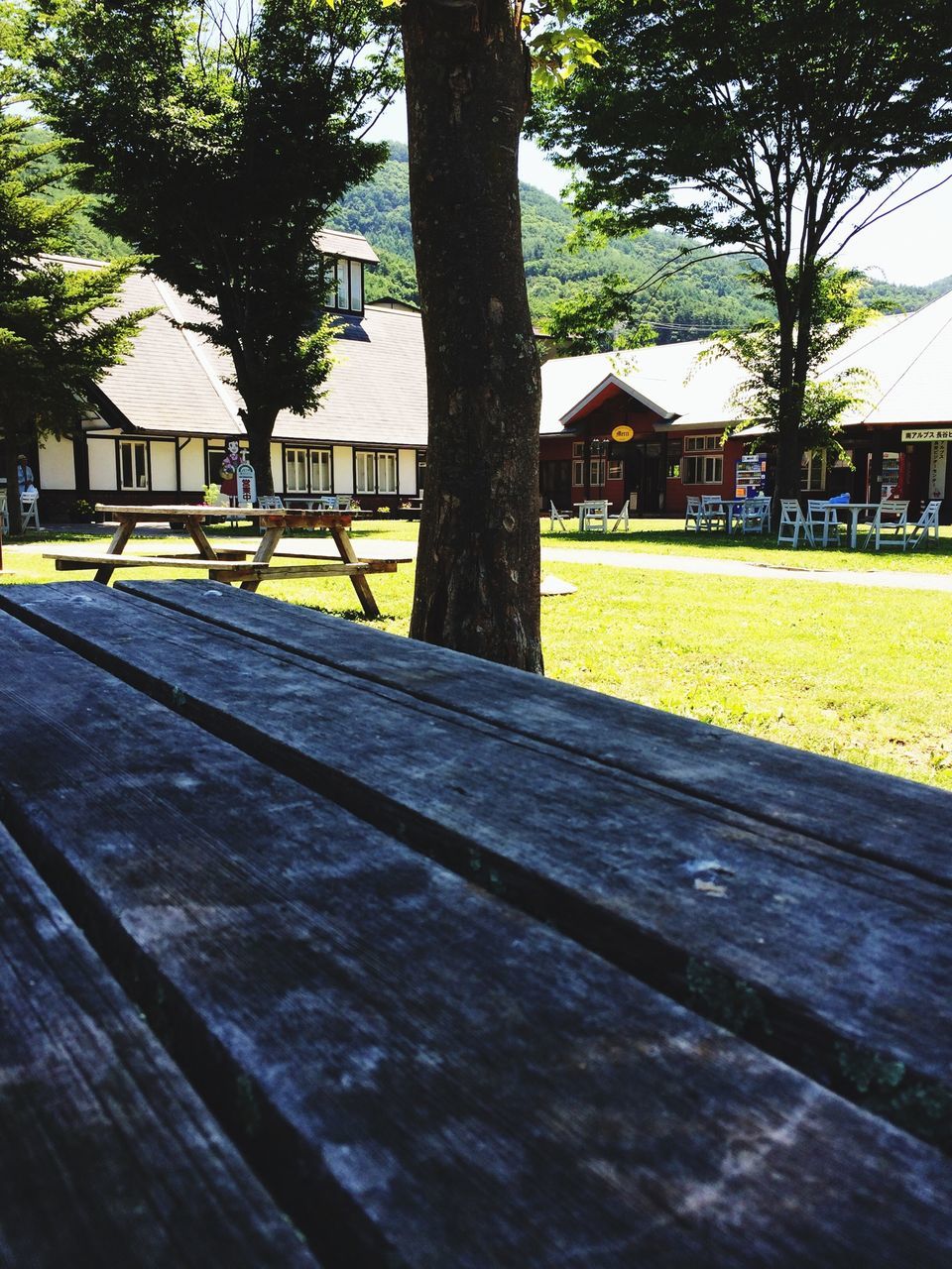 tree, building exterior, built structure, architecture, bench, tree trunk, park - man made space, city, incidental people, shadow, sunlight, footpath, street, sidewalk, outdoors, lawn, day, growth, grass, house