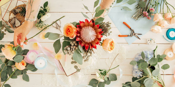 High angle view of flowering plant on table