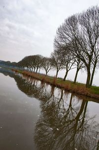 Reflection of bare trees in lake against sky