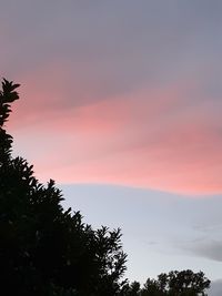 Low angle view of silhouette trees against sky at sunset