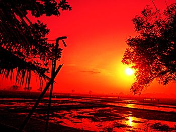 Silhouette trees on beach against romantic sky at sunset
