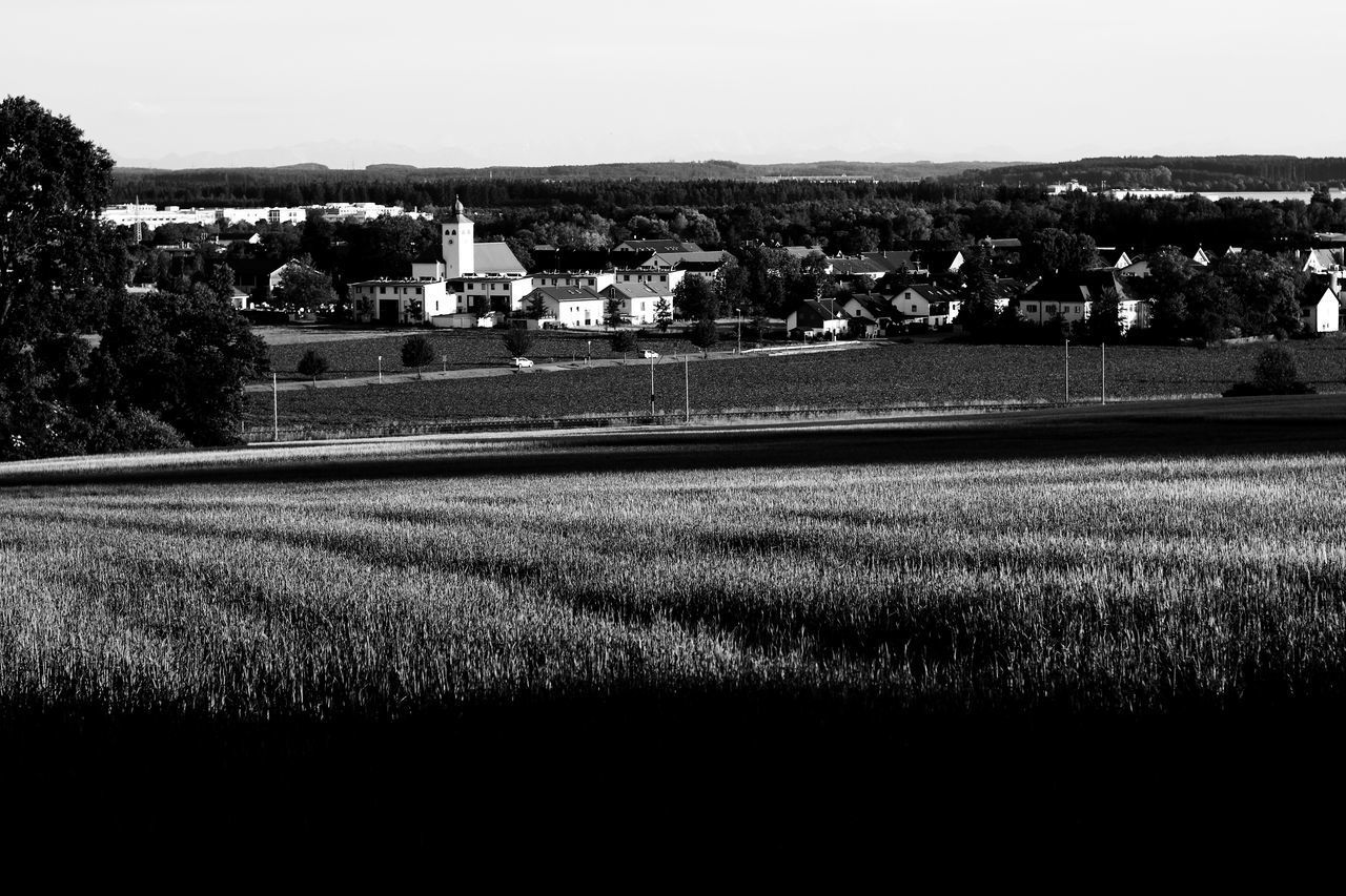 FIELD BY BUILDINGS AGAINST SKY