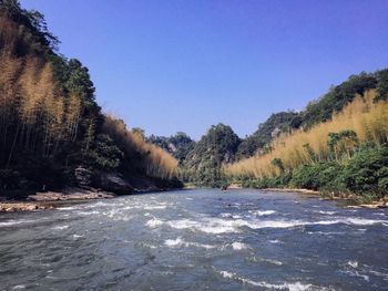 Scenic view of forest against clear blue sky